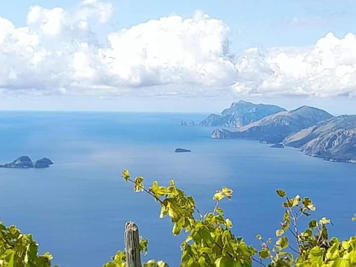 Vecchio West Panzió Agerola Kültér fotó